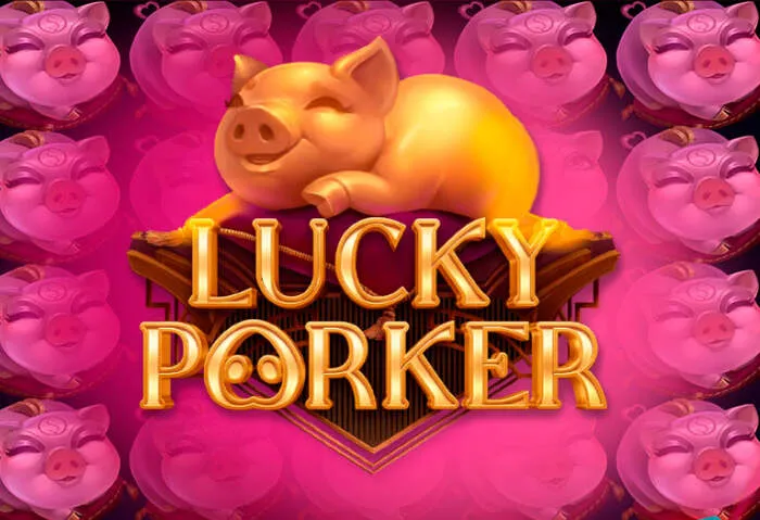 Claim your RoyalWin Live Casino bonuses with exclusive codes.