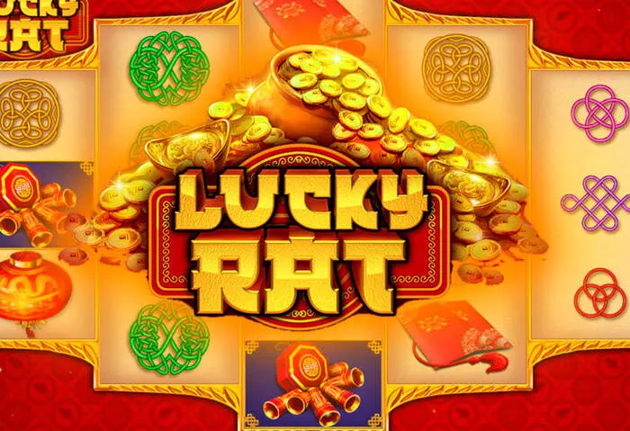 RoyalWin Casino live casino bonus codes for new player offers.